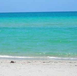 Meet your Posher, Kathleen